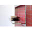 C 24.25" Single Bathroom Vanity Set with Mirror