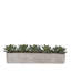 Faux Echeverias with Pebbles Succulent Floral Arrangements in Pot