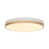 Whte/Gold
