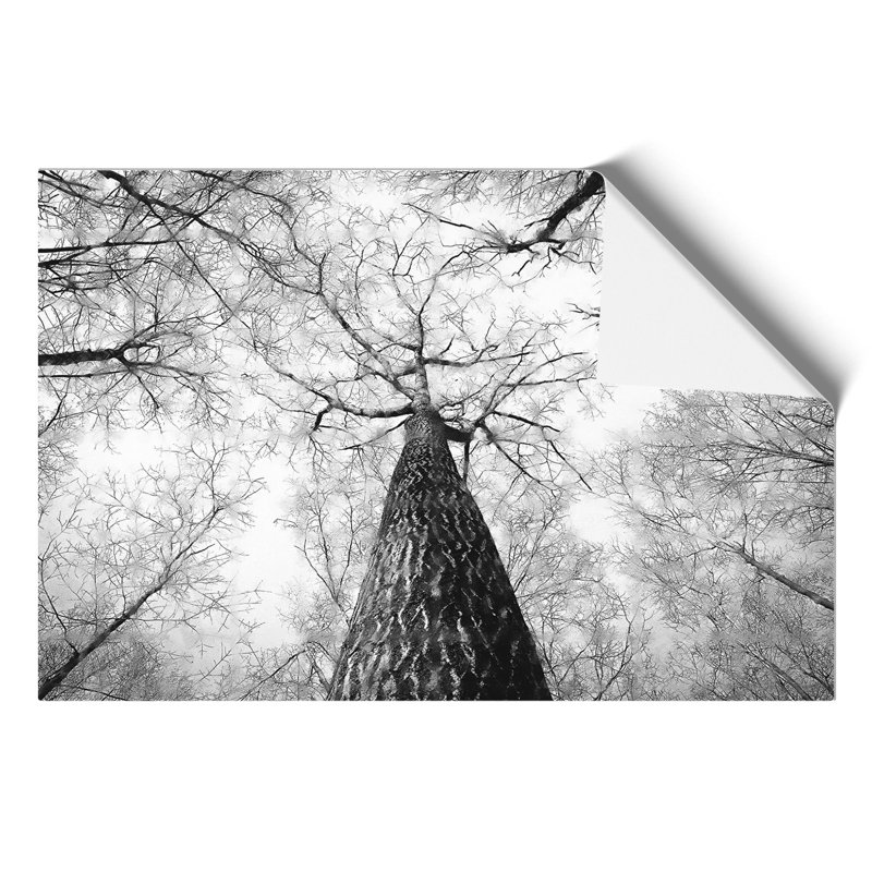 Below the Forest Painting - Frameless Print, 30cm H x 42cm W x 0.1cm D