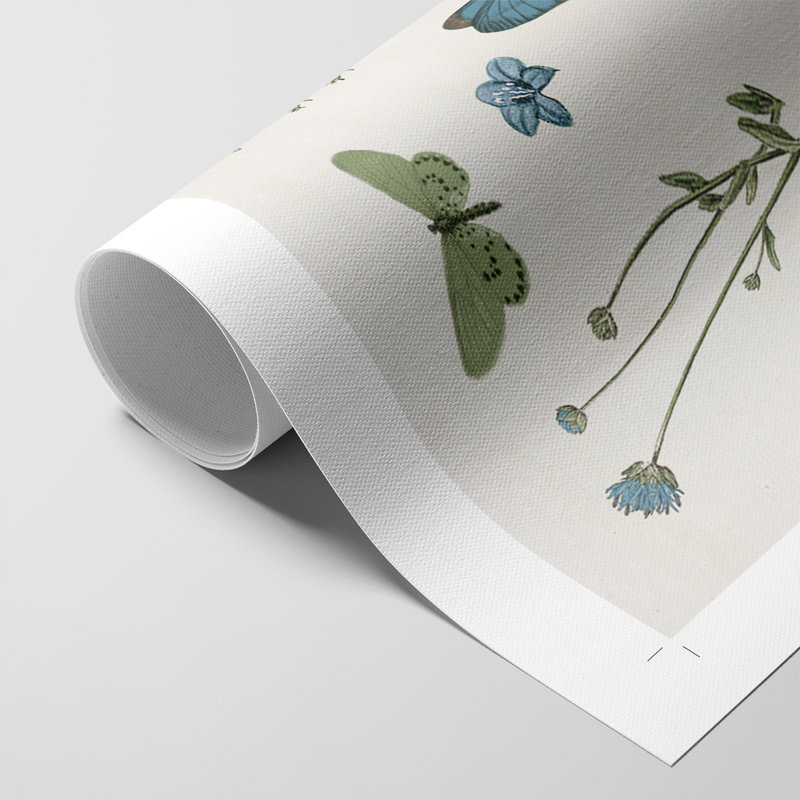Botanical Page II - Impression sur toile seulement - NON-CADRE, H 27 po x l 18 po