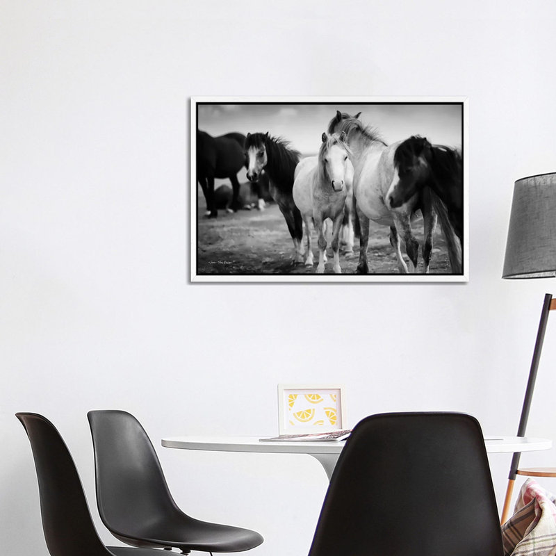 Black And White Horses - Print on Canvas, White Floater Framed, 66.04cm H x 101.6cm W x 3.81cm D