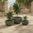 Anita Planter Pot Set Of 3-1978312780