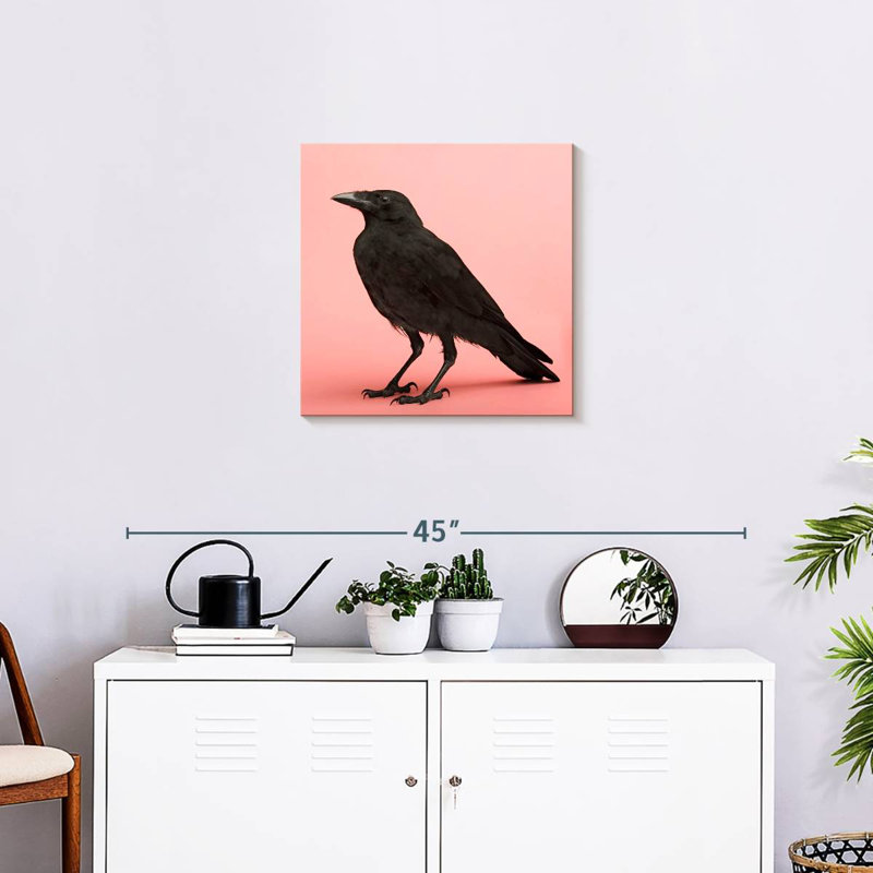 Brampt Black Carrion Crow, 20" H x 20" W