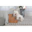 Escalier pour animal 3 marches Batton