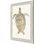 Neutral Turtle I