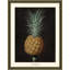 Pineapples Giclee Print