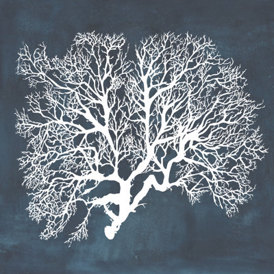 " Inverse Sea Fan III " Painting Print