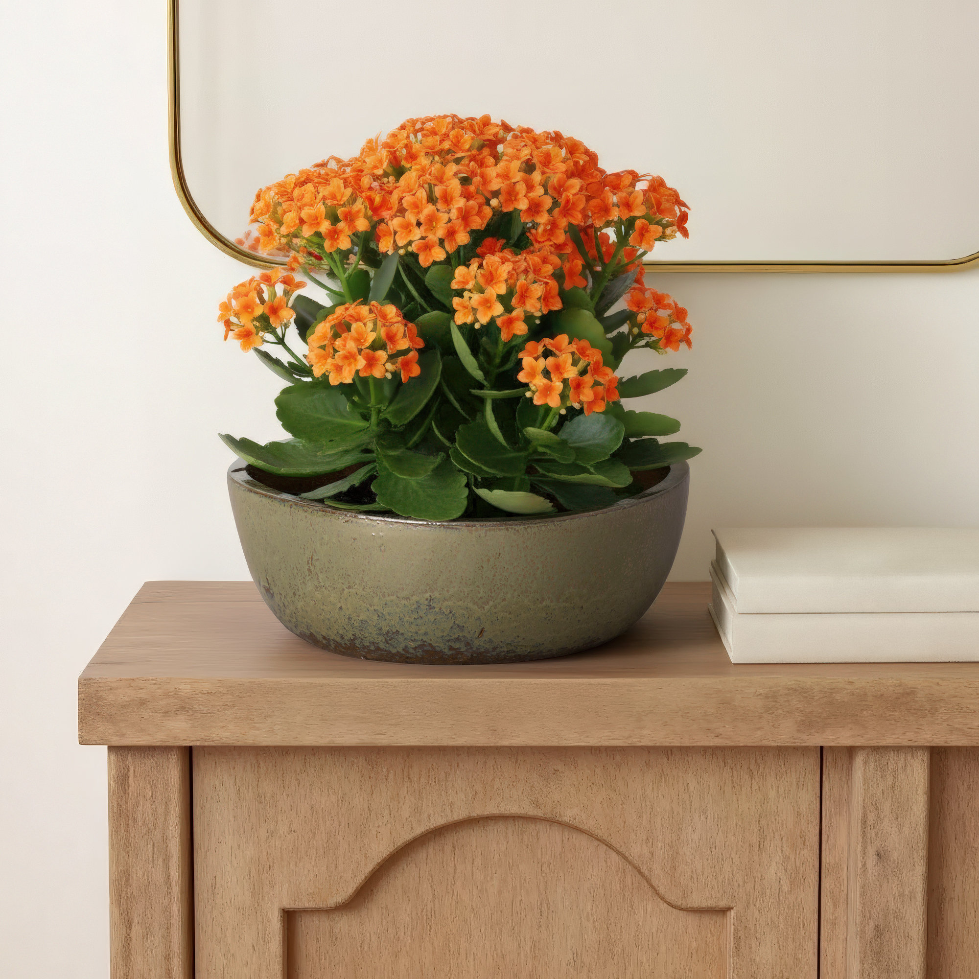 Handmade Ceramic Pot Planter, 6.5" H x 18" W x 18" D, Metallic Green