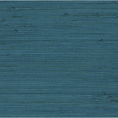 Duplantis Grass Cloth Roll