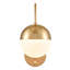 Lampe murale moderne en laiton à finition laiton avec prise