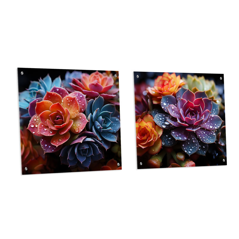 «Colorful Succulents Come Alive» - ensemble de 2 verres muraux en acrylique, H 16 po x l 33 po