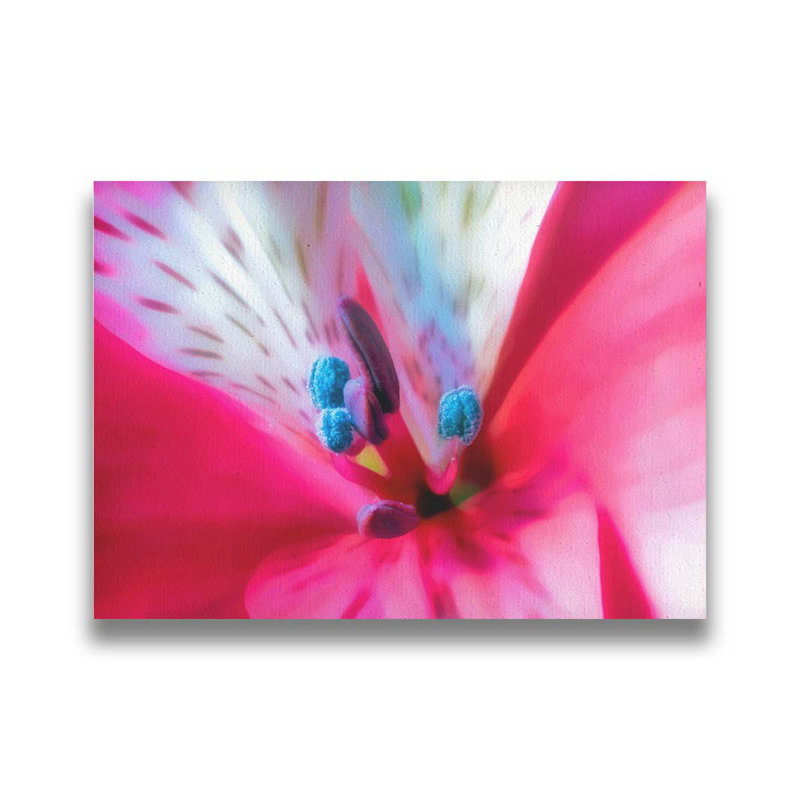Sensuosité par Hal Halli. Impression sur papier - Montée et encadrée avec de l'acrylique transparent, H 34 po x l 44 po