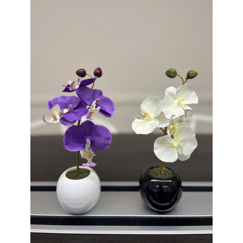 Fabric Orchid Arrangement in Pot, 0.27cm H x 0.12cm W x 0.08cm D, White/Purple