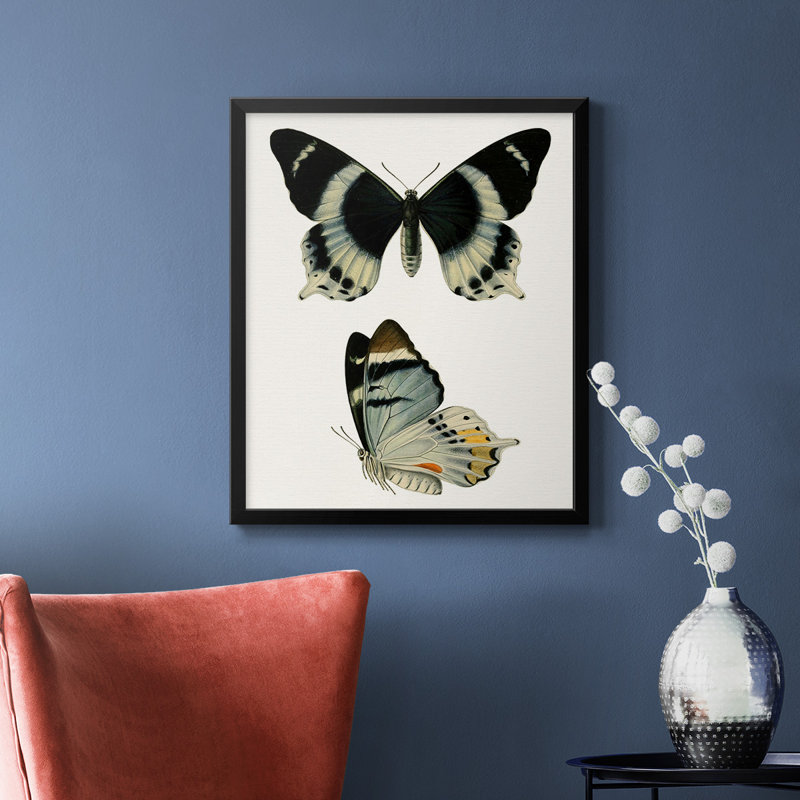 «Antique Blue Butterflies I», toile encadrée de qualité supérieure - prête à être accrochée, Noir, H 24 po x l 20 po