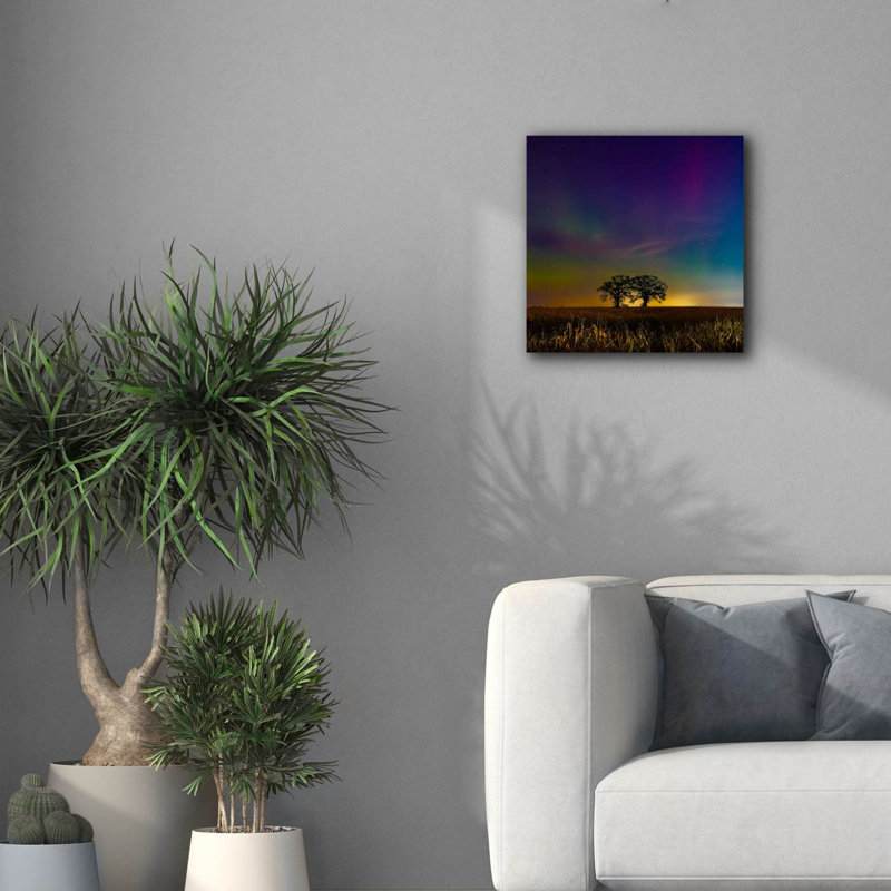 «Two Trees Under Aurora» par Epic Portfolio, art mural 18 po x 18 po, H 18 po x l 18 po