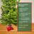 Santa Live Tree Stand