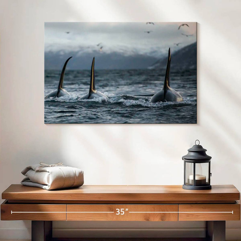 Brampt Norvège Orca Trio