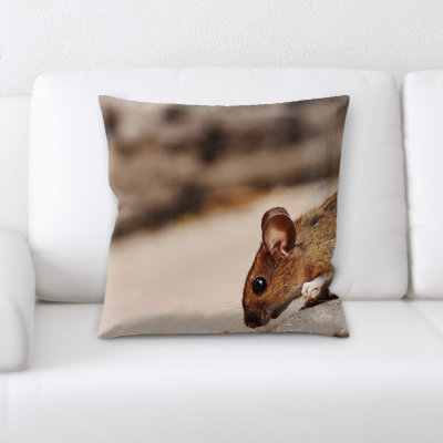 Microsuede Throw Pillow