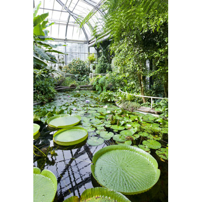 " Botanical Garden, Prague " by Phbcz