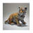 EDGE Sculpture Tiger Cub Figure 6.9in H
