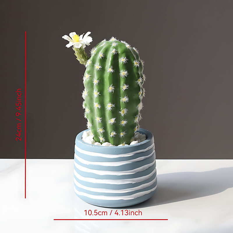 Cactus 9,45 po