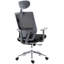Symple Stuff Executive Chair with Headrest-38961378
