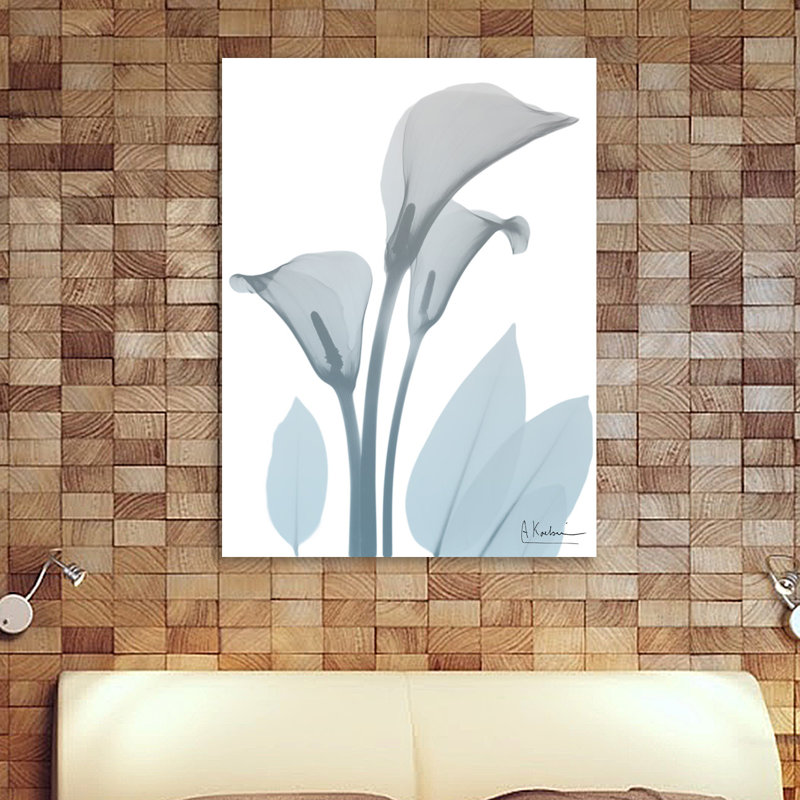 Serene Calla Lilly - Wrapped Canvas Print, 81 cm H x 61 cm W