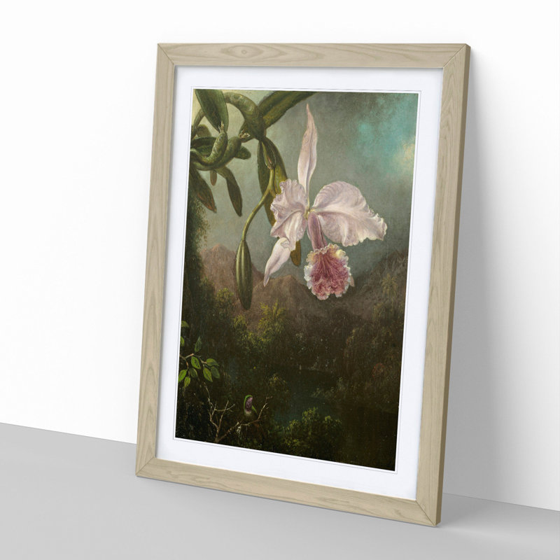 Orchid Blossoms by Martin Johnson Heade - Framed Print, 48cm H x 36cm W x 2cm D, Oak Framed