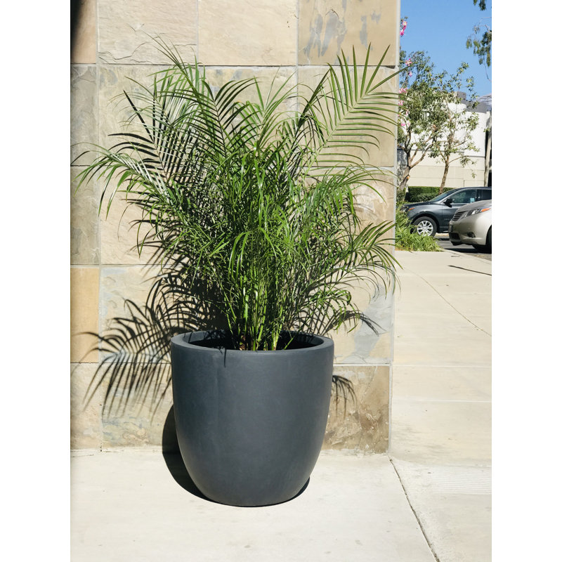 Pot Planter, Charcoal, 17" H x 18" W x 18" D