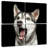 Brampt Surprised Siberian Husky-109038349