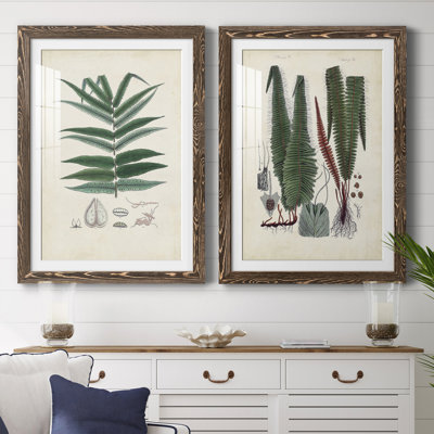 Collected Ferns IX " Collected Ferns IX " 2 - Pieces Painting Print