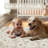 Stella Machine Washable Oriental Area Rug With Non-Slip Backing-1532561952