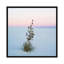 Reproduction de photo sur toile tendue, "soaptree yucca ii, sable national de-new mexico, usa-20158431-72597262-72597263