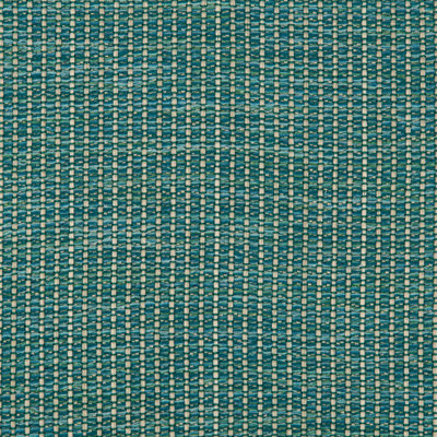 Performance Crypton Home Fabric