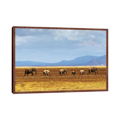 Row of Elephants Walking in Dried Lake II 1 Piece Wall Art on Canvas