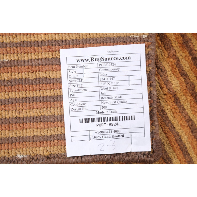 Tapis contemporain rayé intérieur / extérieur noué à la main 5 x 8 po