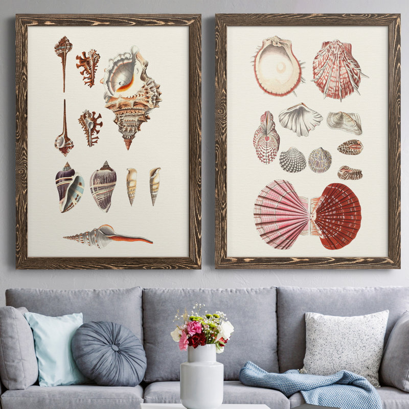 Toile encadrée Shell Collection VP Remium - prête à être accrochée, H 43,5 po x l 31,5 po x P 1 po, Toile avec cadre en noyer