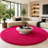 7x7 ft Hot Pink Round Rug for Bedroom Room Fluffy Circle Rug Furry Carpet Shaggy Circular Fuzzy Washable Non-Slip Large Area Rug Soft Indoor for Living Room Cute Aesthetic Home Decor-1164655156-1164655110