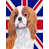 Épagneul cavalier King Charles 3 sélectionné