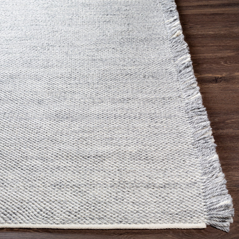 Tapis intérieur / extérieur gris clair tissé à la main Kemarcus, Rectangle 8 pi 10 po x 12 pi