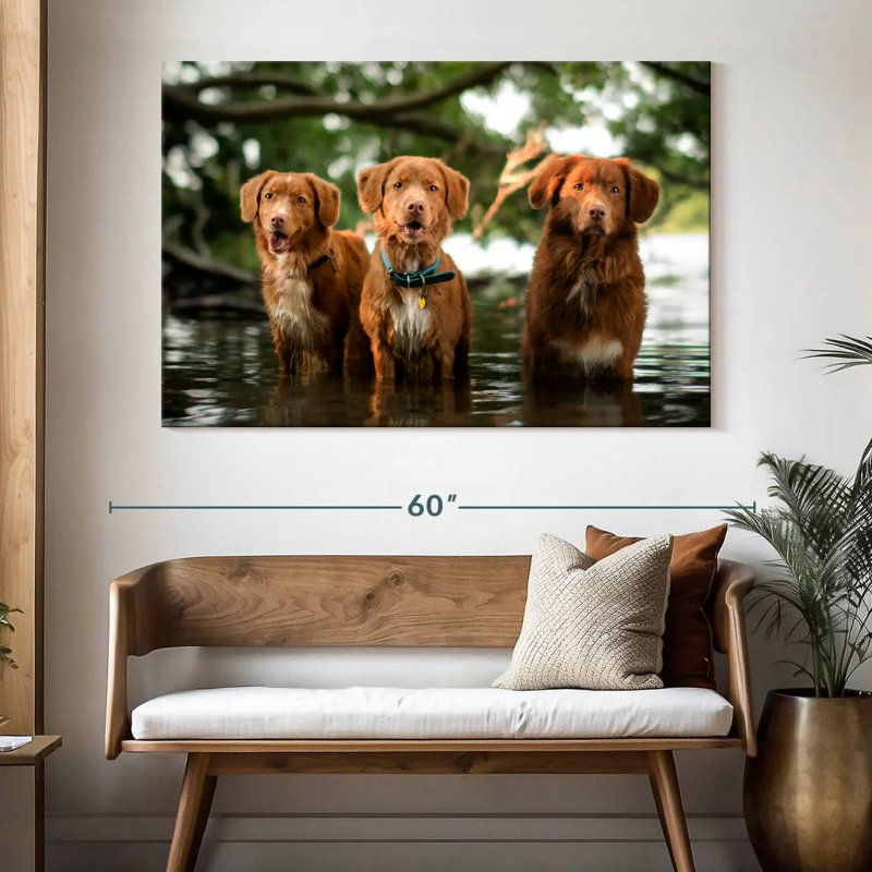 Brampt Tollers In The Water, 34" H x 51" W