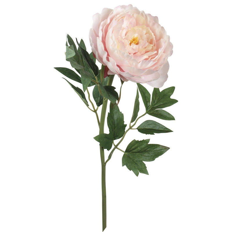 Tige de pivoine, Rose, H 24 po x l 5 po x P 5 po