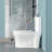 Ceramic One Piece Toilet For Bathroom, 12-Inch Rough-In, 1.22/1.6 GPF, Dual Flush With Soft Clsoing Seat, Powerful Dual Flush MAP 800G