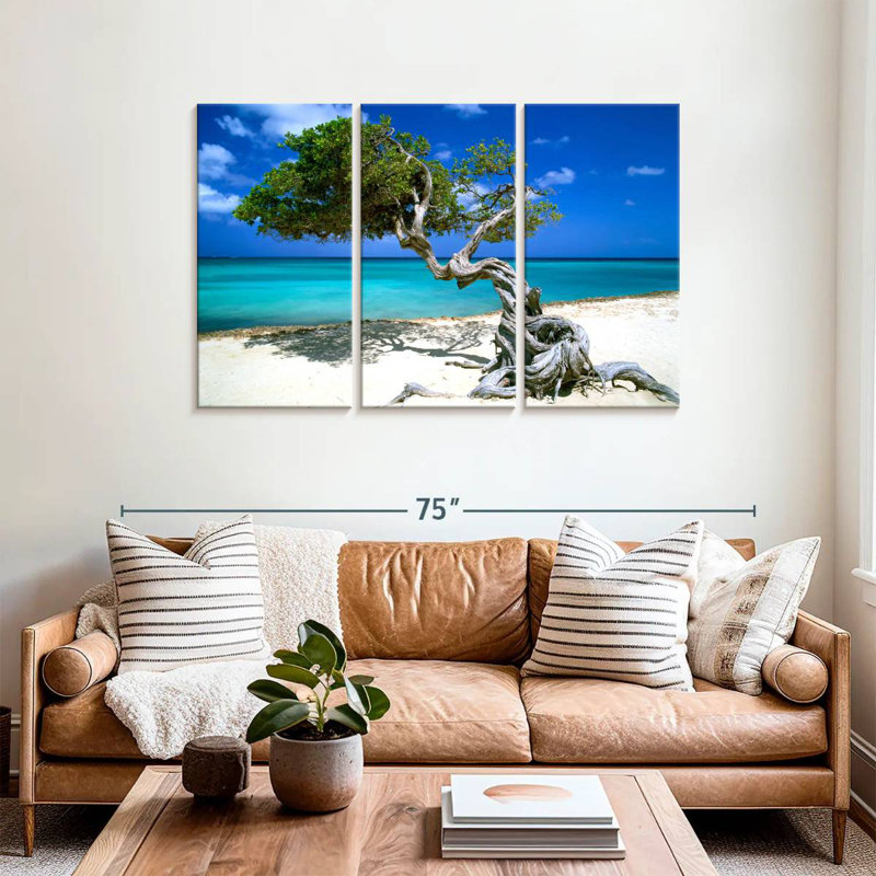 Divi Divi Tree Aruba Lesser Antilles, 36" H x 57" W