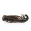 Duque Animals Figurines & Sculptures