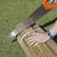 Dabria Bamboo-644526749