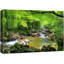 " River Through The Green Forest "-93629364-93629363