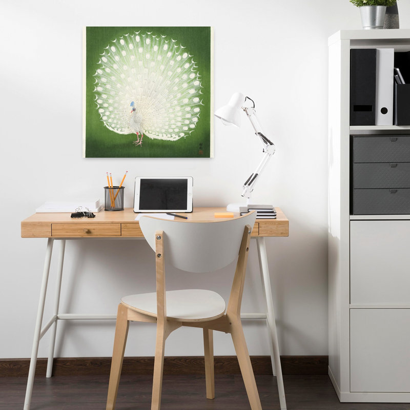 Peacock Contemporary Bird Wall Art Print, 45.72cm H x 45.72cm W