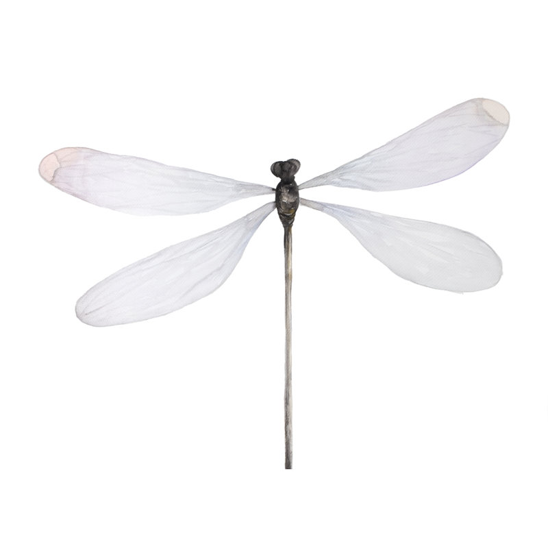 Libellule minimaliste - Toile encadrée, décoration d'insectes